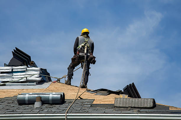 Professional Roof Replacement technician working in Woodbine, GA